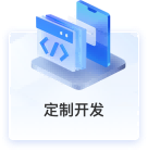 定制开发